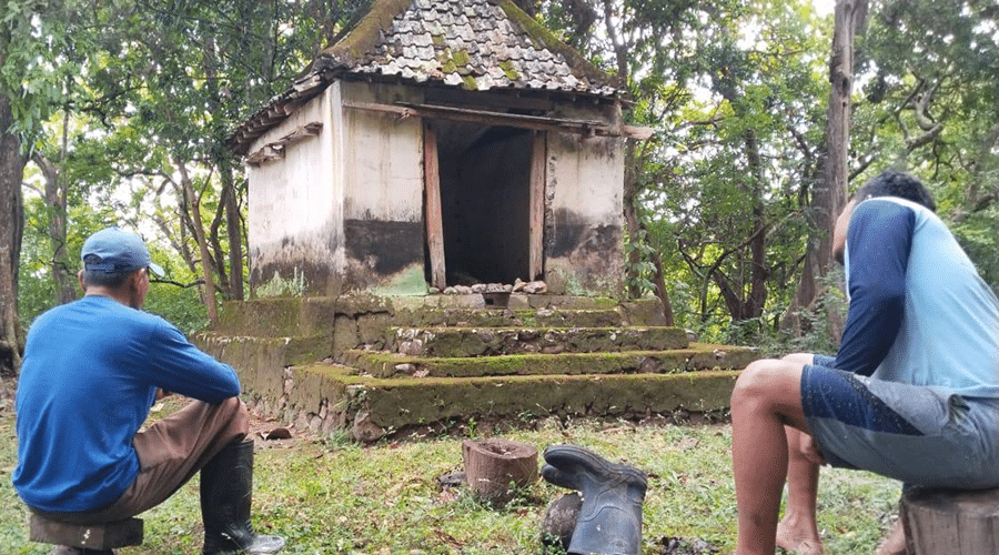 WhatsApp Image 2025-11-03 at 10.17.38_dcc573de.jpg